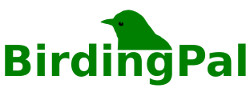 Birding Pal